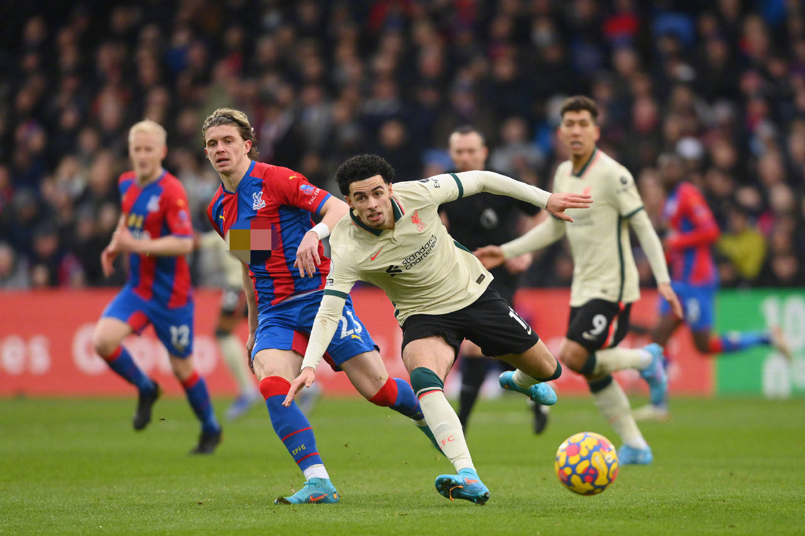 进的珍贵参 进的珍贵参