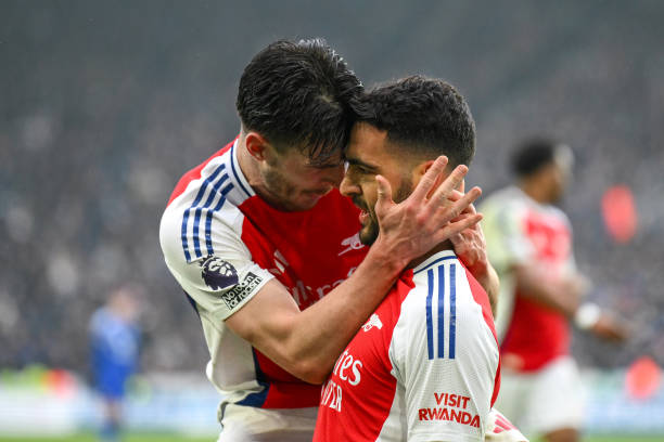 养的本土裁 养的本土裁