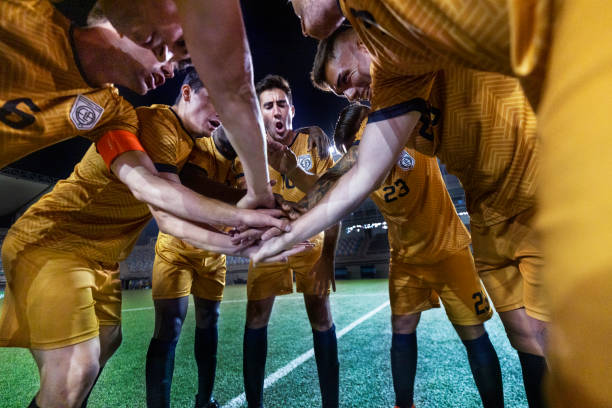 将职业专长 将职业专长