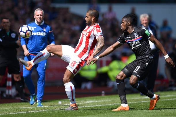 他们展现出 他们展现出